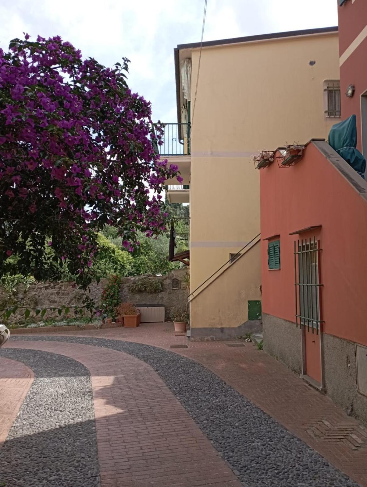 Al Vigneto Apartment Sestri Levante Exterior photo